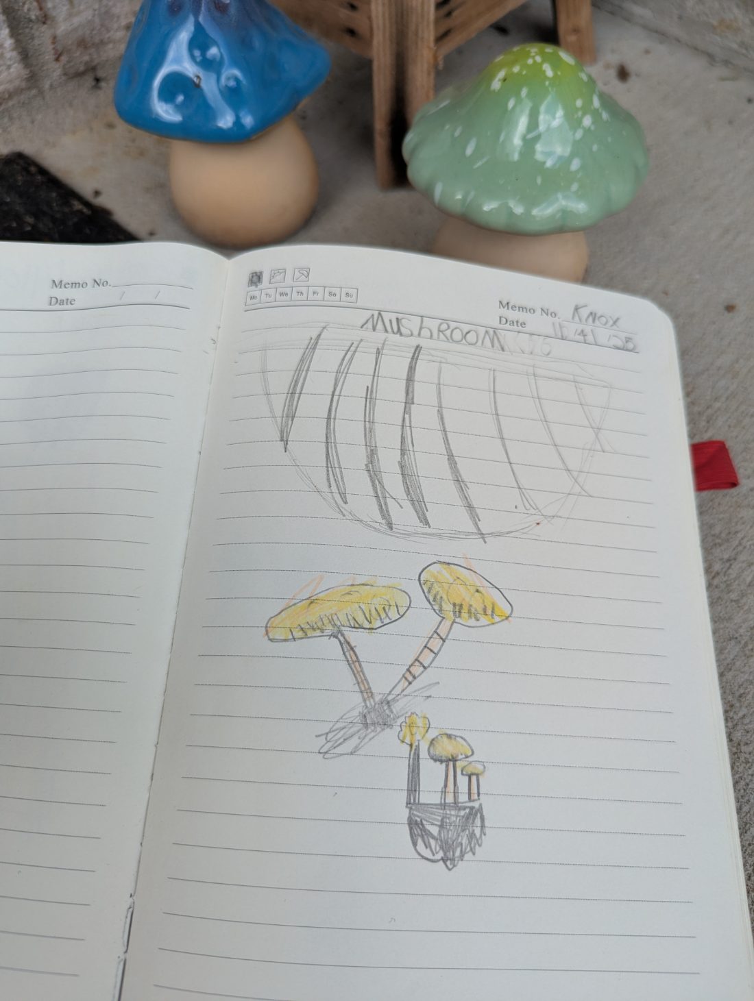 Student nature journal: Mushrooms